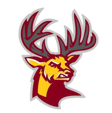 Sigmaringen Stags