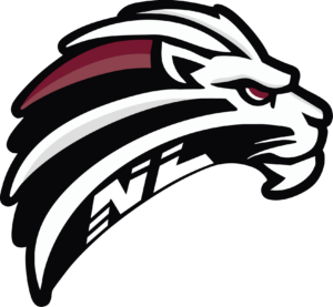 Newtown-Lions-Logo-PNG-300x277.png